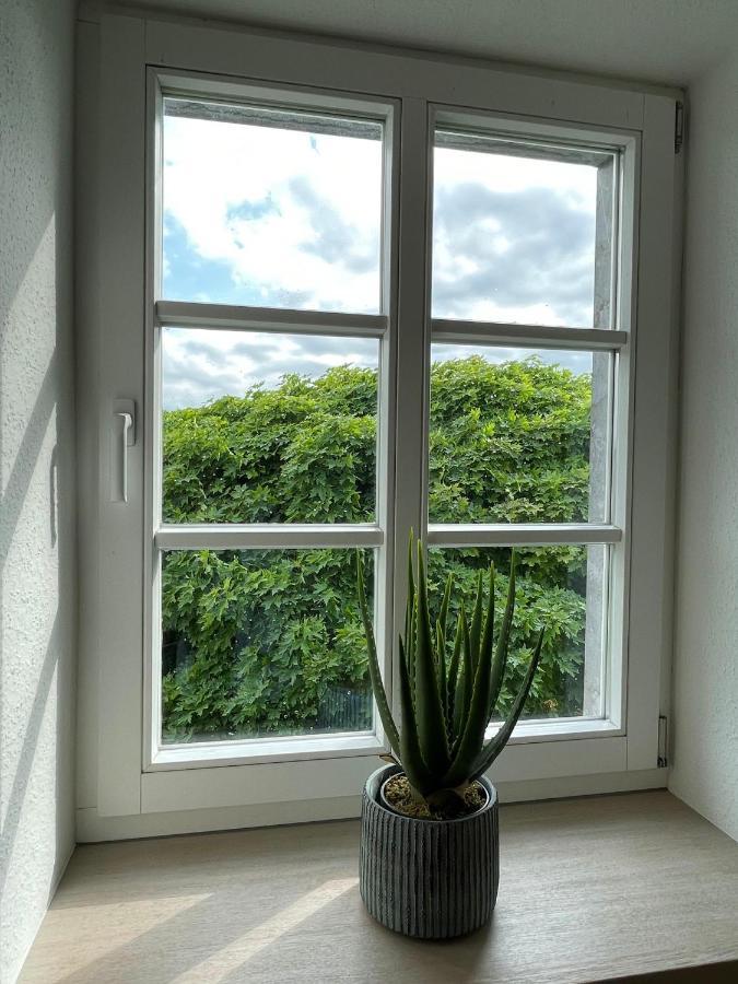 Ferienhaus Eifelherz *
